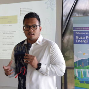 Alvin Putra Sisdwinugraha, Analis Sistem Ketenagalistrikan dan Energi Terbarukan
