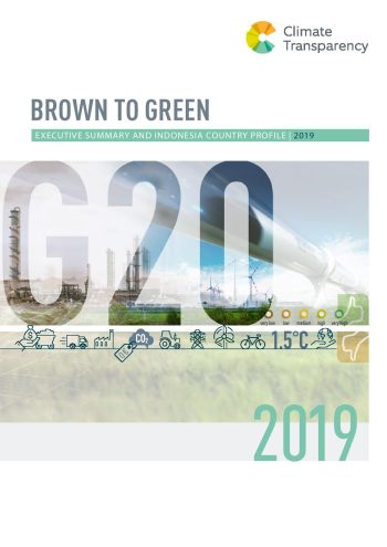 Brown to Green Report 2019 – The Executive Summary [Indonesia Country Profile]
