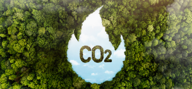 CO2 fix