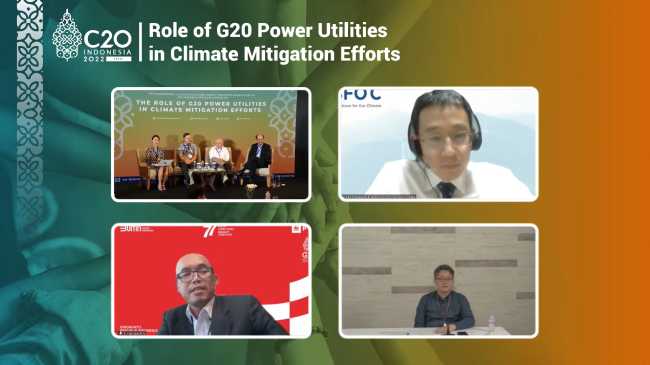 G20 power utilities